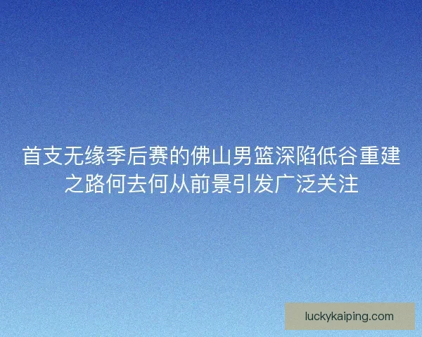首支无缘季后赛的佛山男篮深陷低谷重建之路何去何从前景引发广泛关注