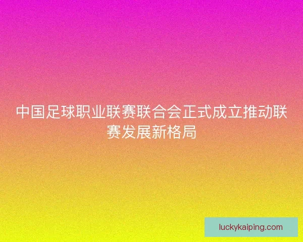 中国足球职业联赛联合会正式成立推动联赛发展新格局